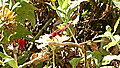 20191010_095638992