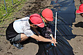 Photo_24