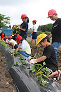 Photo_11