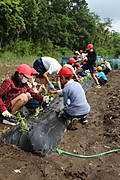 Photo_13