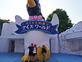 Photo_6