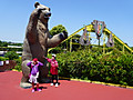 Photo_8