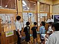 Photo_22