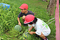 Photo_31