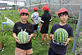 Photo_33