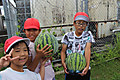 Photo_35